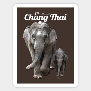 Chang Thai Magnet